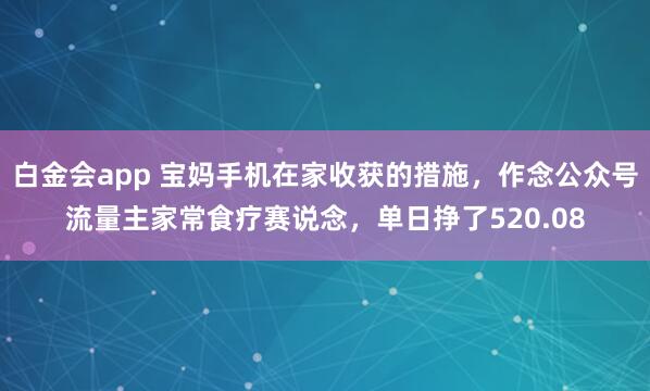 白金会app 宝妈手机在家收获的措施，作念公众号流量主家常食疗赛说念，单日挣了520.08