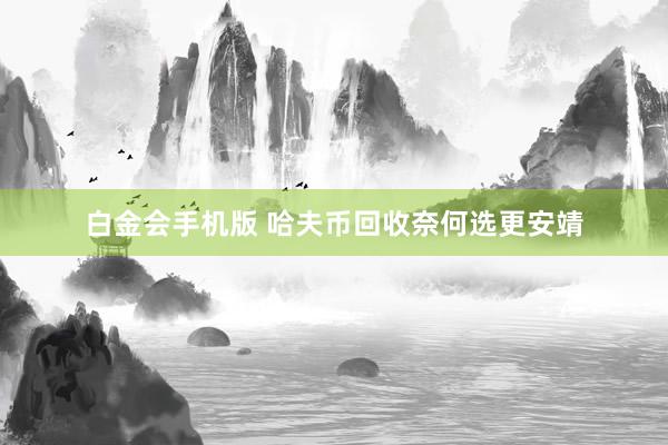 白金会手机版 哈夫币回收奈何选更安靖