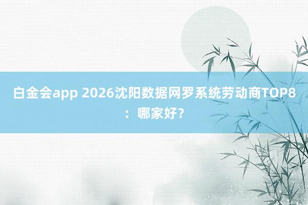 白金会app 2026沈阳数据网罗系统劳动商TOP8：哪家好？