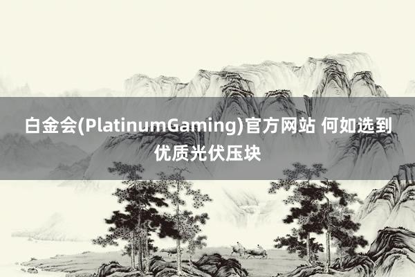 白金会(PlatinumGaming)官方网站 何如选到优质光伏压块