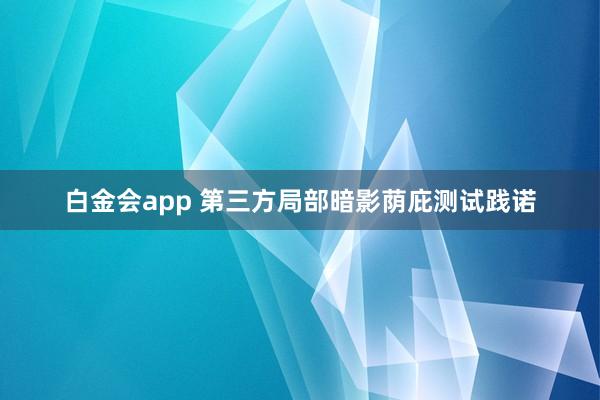 白金会app 第三方局部暗影荫庇测试践诺