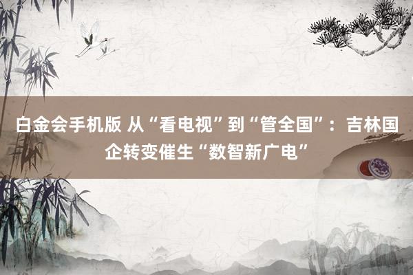 白金会手机版 从“看电视”到“管全国”：吉林国企转变催生“数智新广电”