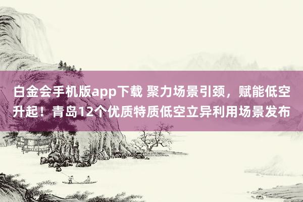 白金会手机版app下载 聚力场景引颈，赋能低空升起！青岛12个优质特质低空立异利用场景发布