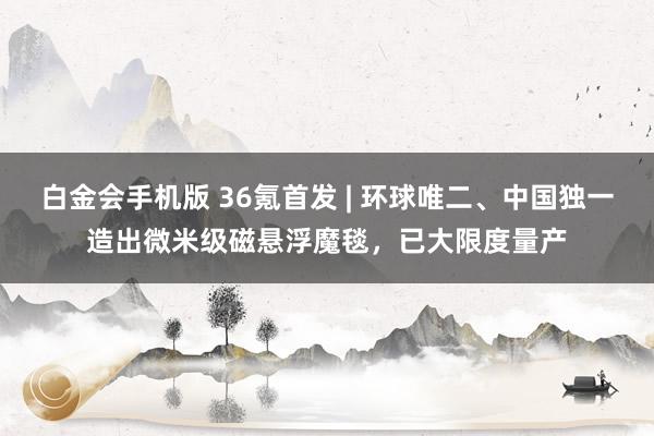 白金会手机版 36氪首发 | 环球唯二、中国独一造出微米级磁悬浮魔毯，已大限度量产