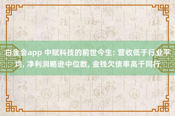 白金会app 中赋科技的前世今生: 营收低于行业平均, 净利润略逊中位数, 金钱欠债率高于同行