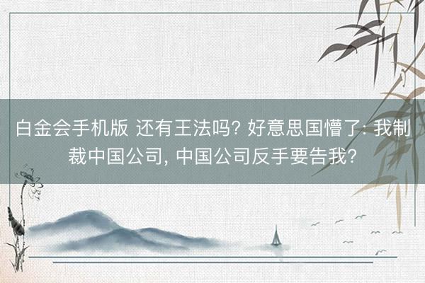白金会手机版 还有王法吗? 好意思国懵了: 我制裁中国公司, 中国公司反手要告我?