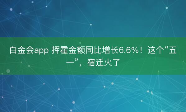 白金会app 挥霍金额同比增长6.6%！这个“五一”，宿迁火了
